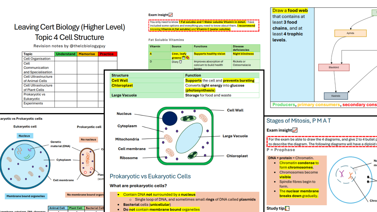 Example image